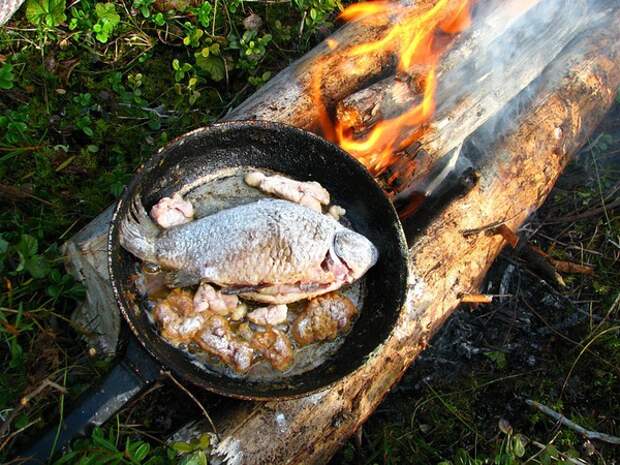 Кухня для рыбалки