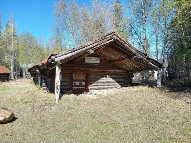 Подборка прикольных картинок