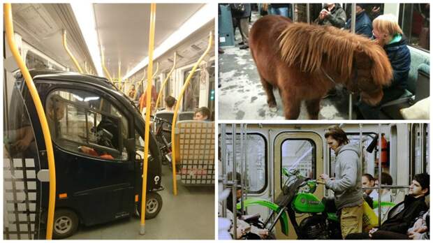 25 странных вещей, которые люди перевозят в метро животные, метро, прикол, фотографии