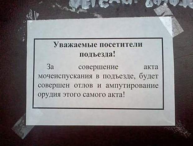 Самые смешные надписи и объявления 