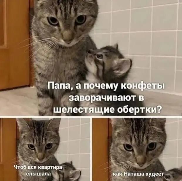 Подборка позитива на начало недели - отборный юмор