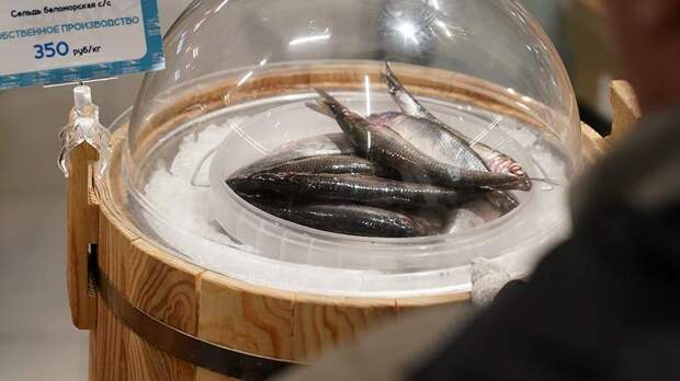 Экономист Абрамов рассказал о снижении цены на сельдь на 9% за неделю