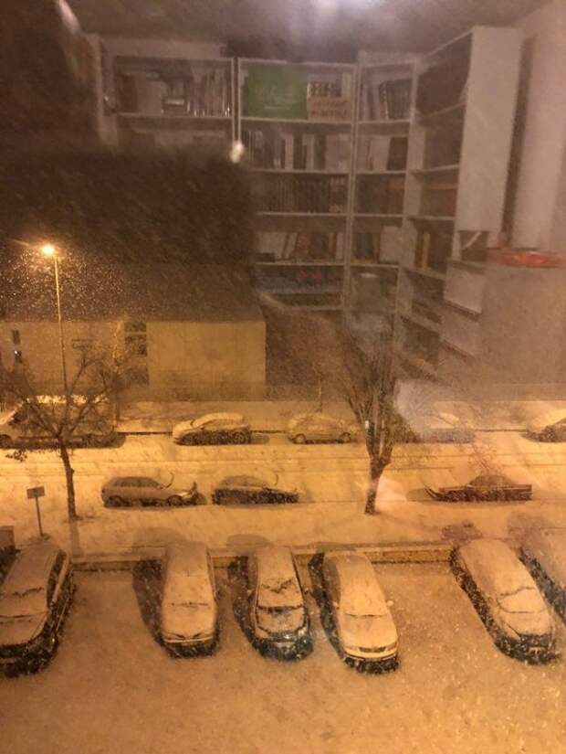 Немного забавных снимков, в которые надо вглядеться