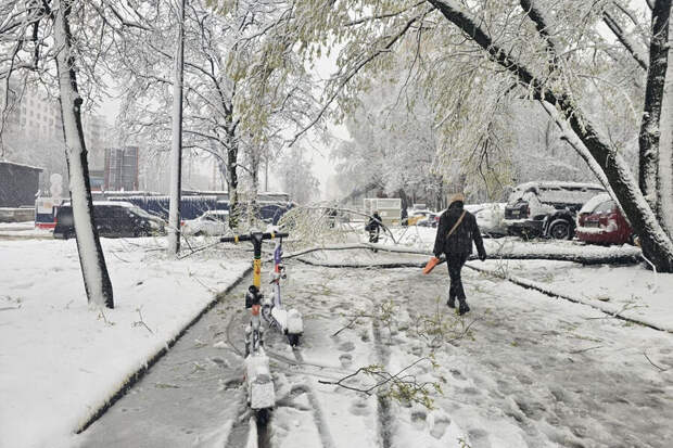 Фенолог Любов: циклон с Баренцева моря вернул снег в центр России
