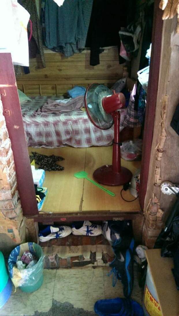 Старушка живет в ветхой хижине. Однажды на пороге ее дома появляется бригада строителей
