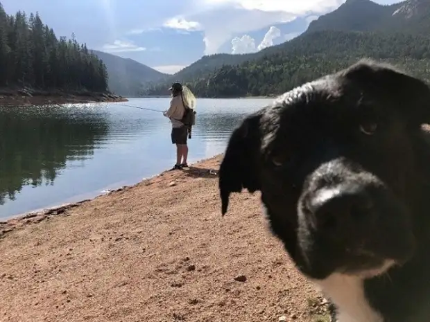 Воскресный юмор - лучшая подборка