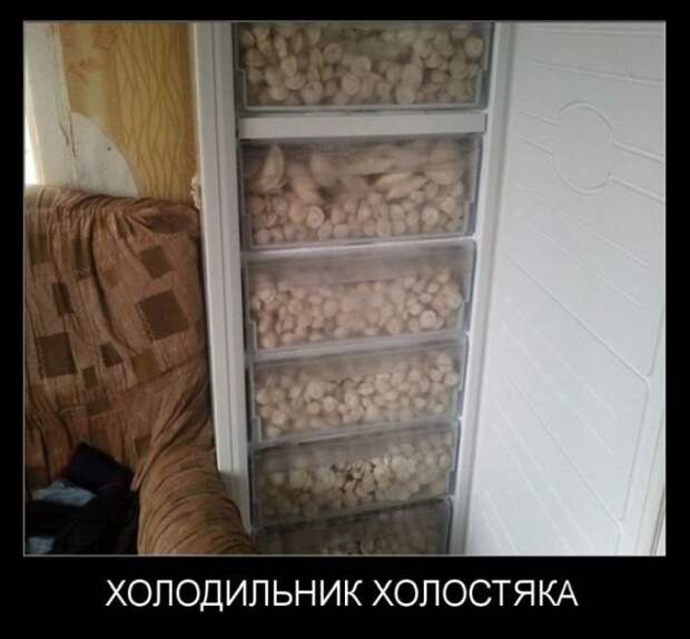 Демотиваторы (20 фото)