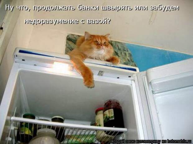 Новая котоматрица на Бугаге (44 фото)