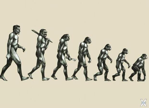 Что если не было ни эволюции, ни инволюции, а Земля - это генетическая лаборатория?