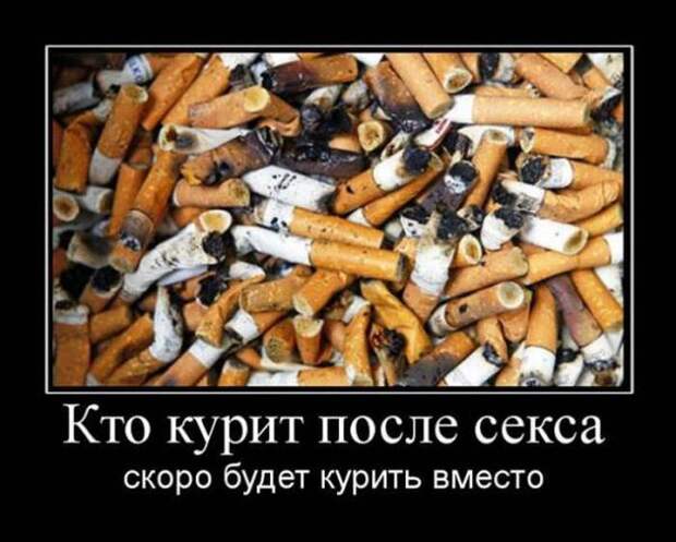 Демотиваторы (30 фото)