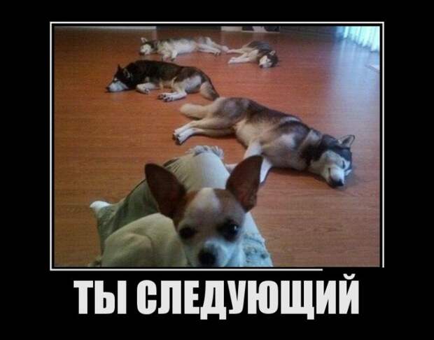 Демотиваторы (30 фото)