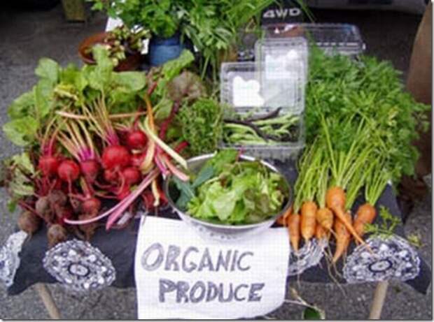 green-basics-organic-produce-stand