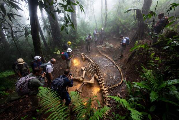 Открытие в Китае может переписать историю жизни на Земле и вот почему учёные говорят о «затерянном мире»