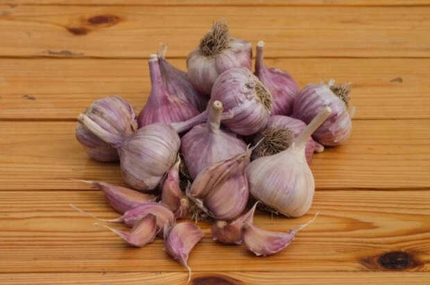 JHM: экстракт чеснока является природным средством для защиты от кариеса