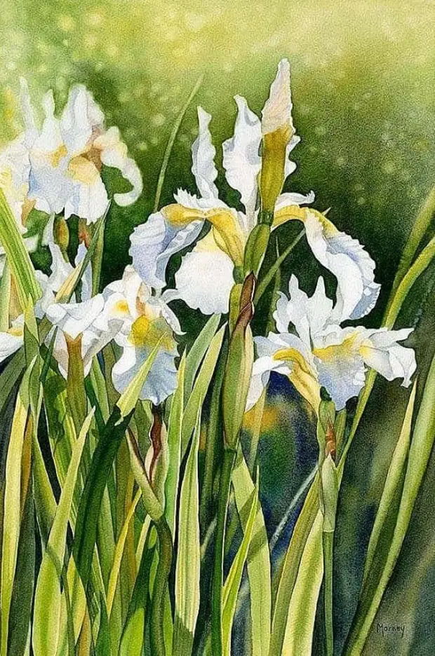 картина художника Марни Вард (Marney Ward) – 19 художник Marney Ward (Марни Вард) картины – 19