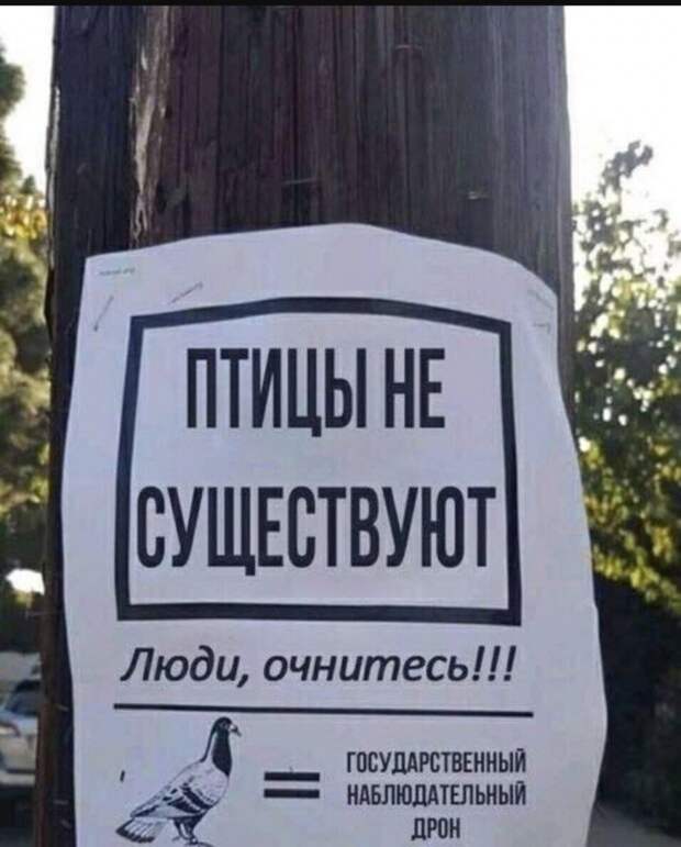 Когда у тебя паранойя: наглядные примеры психоза, в которых вы узнаете себя