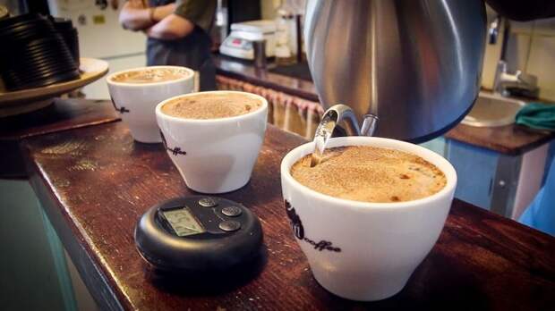 Главный антиоксидант. \ Фото: coffeefan.info. Главный антиоксидант. \ Фото: coffeefan.info.