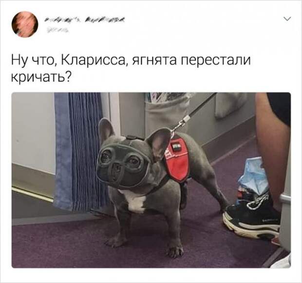 tvitov-zabavnyh-podborka-citaty-vkontakte-vkontakte-smeshnye-statusy