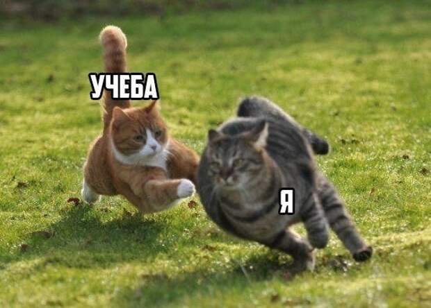 _YWGYobpSt8