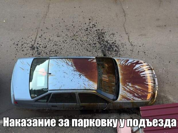 Прикольные картинки