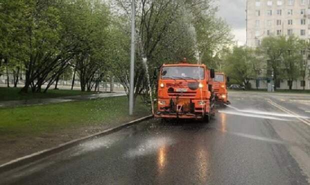 Фото: ГБУ "Жилищник района Строгино"