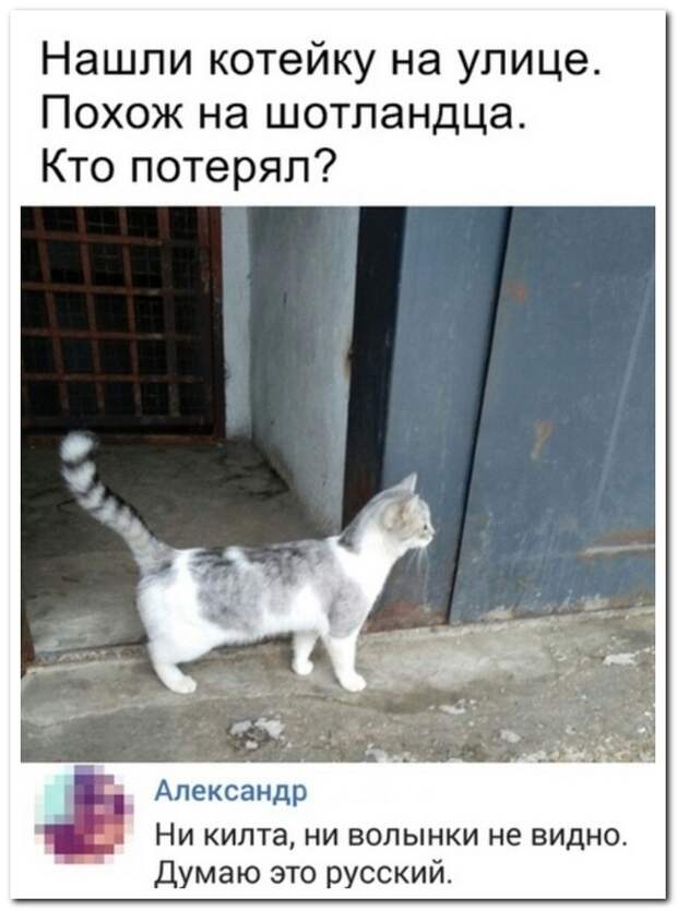 www.vsyako.net