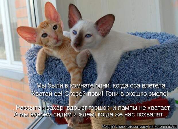 Давайте улыбаться вместе! :) (28улыбок)