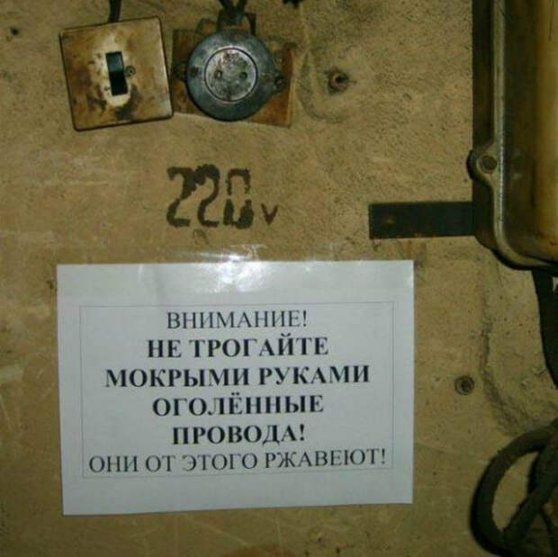 Мы волнуемся за провода... | Фото: Екабу.ру. Мы волнуемся за провода... | Фото: Екабу.ру.