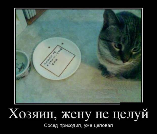Демотиваторы (30 фото)