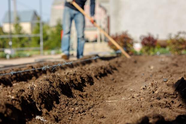 Фермерам из Африки решили раздать земли под Владимиром