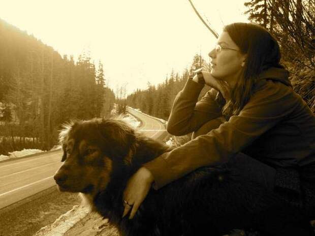 Трогающая до слез история спасения хозяина собакой, ценой собственной жизни пес спас хозяина ценой жизни, Мейсон спас хозйяку от волка, собака защитила хозяина от волка