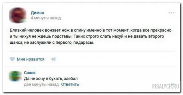 комменты из соцсетей