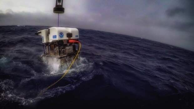 Дистанционно управляемый подводный аппарат Deep Discoverer. Тихого океана, снимки
