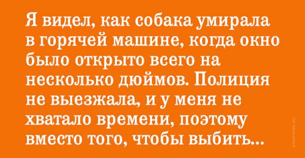 Картинки по запросу Я видел, как собака умирала в горячей машине, когда окно было открыто всего на несколько дюймов. Полиция не выезжала, и у меня не хватало времени,