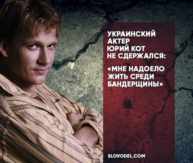 Юрий кот на дзене