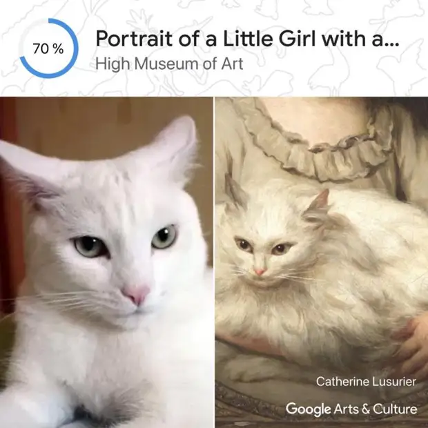 Pet Portraits поможет найти вашего кота или собаку на известных картинах и статуях