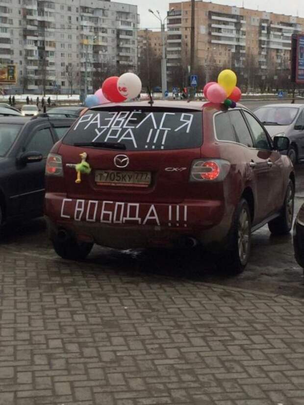 Свежие картинки для субботнего настроения (11 фото)