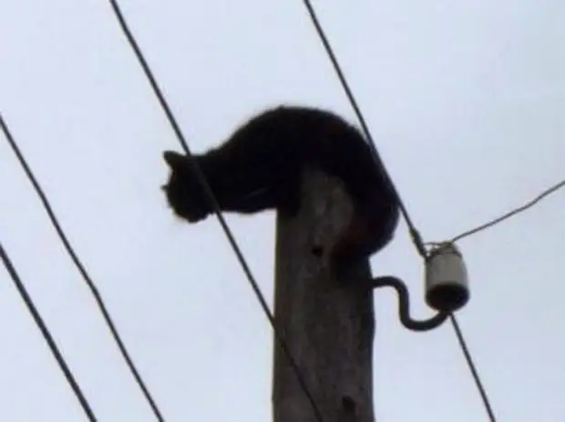 3. Подготовьте план действий