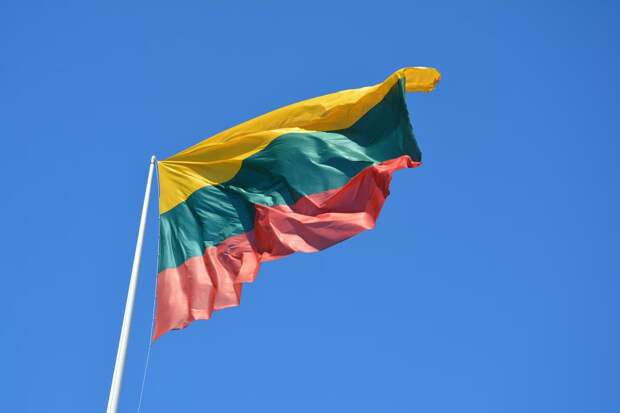 В Литве планируют ввести ограничения в отношении украинцев, проживающих в стране