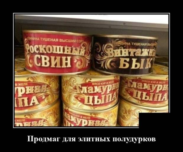 Демотиваторы 13 августа 2020