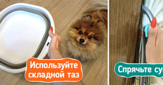 Как выглядит карта лояльности