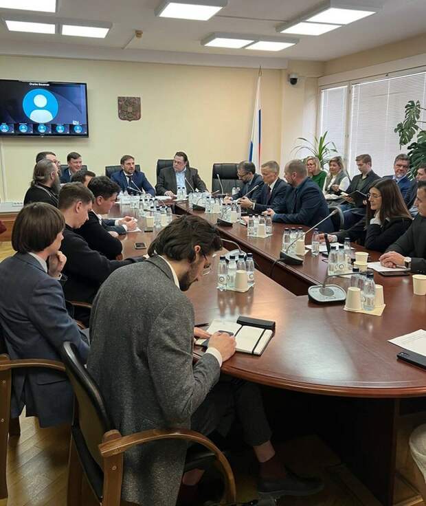 Наши депутаты оказались не готовы, даже ментально, к потоку мигрантов из стран НАТО Дина КАРПИЦКАЯ