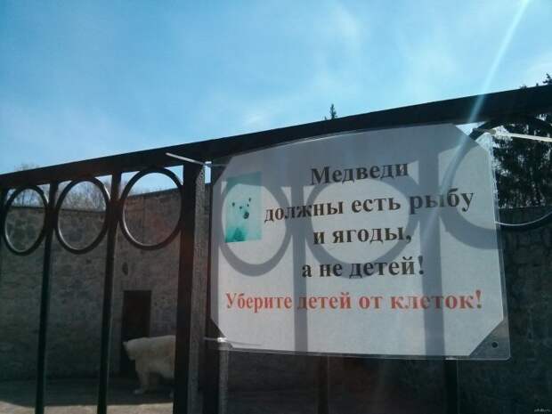 Добро пожаловать в зоопарк!