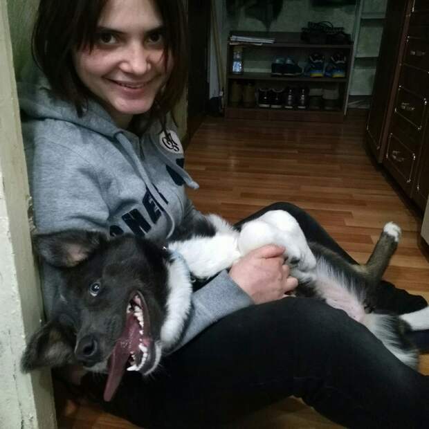 собака нашла дом девушка с собакой