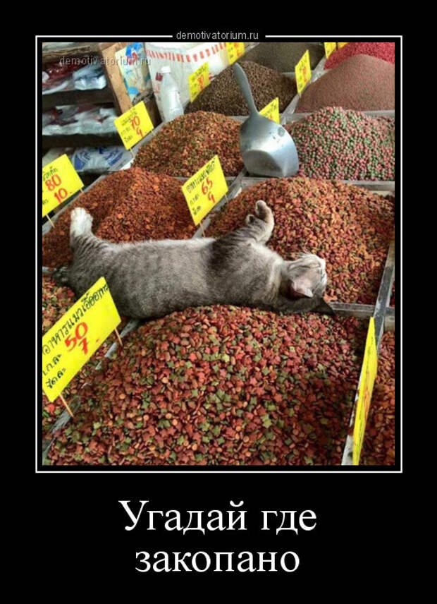 Коллекция демотиваторов (15 фото)