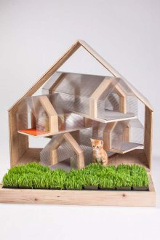 Домик для кошки из пластика и дерева