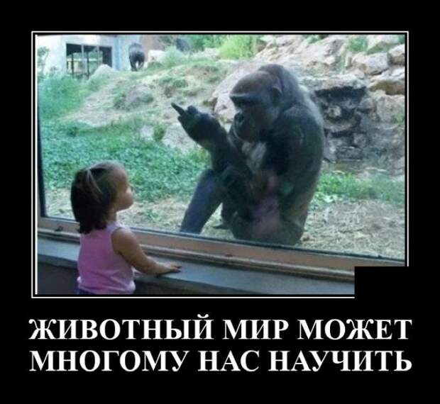 Демотиваторы 11 июня 2021 года