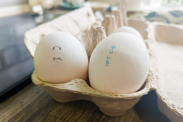 В Монголию и Афганистан отправят яйца из Новосибирска впервые после роста цен