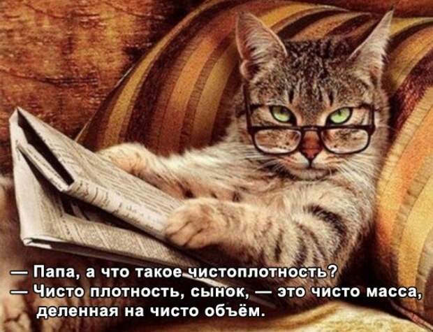 Как шутят учёные (26 фото) Как шутят учёные (26 фото)