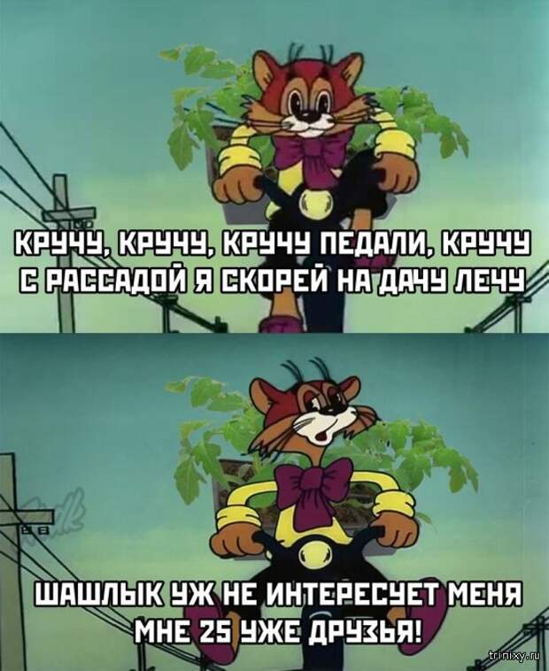 Подборка картинок (20 фото)